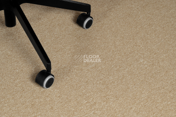 Haima Atom 08 Beige фото 7 | FLOORDEALER